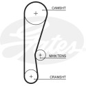 Correia dentada PowerGrip®