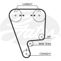 Jogo de correias dentadas PowerGrip®